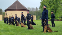 policie psi5